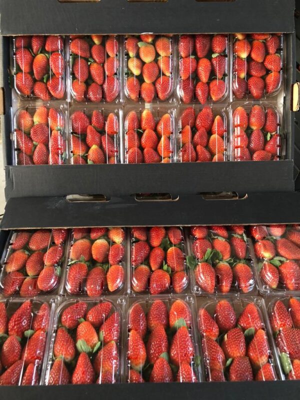 strawberries